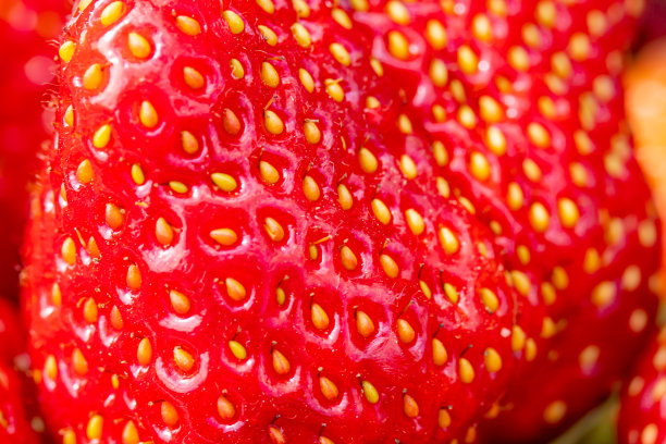 草莓背景或新鲜成熟的完美草莓。新鲜草莓作为纹理背景。红色浆果的自然食物背景。夏天菜市场上卖草莓图片下载