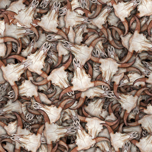 牛头骨与角连接在多层次的模式图片下载