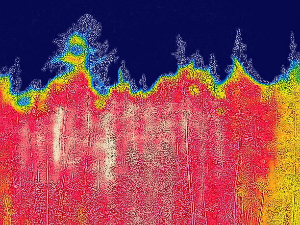 林地红外图片下载