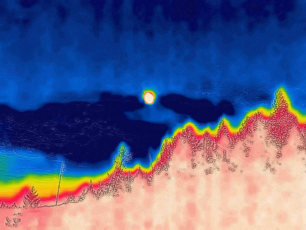 林地红外图片下载