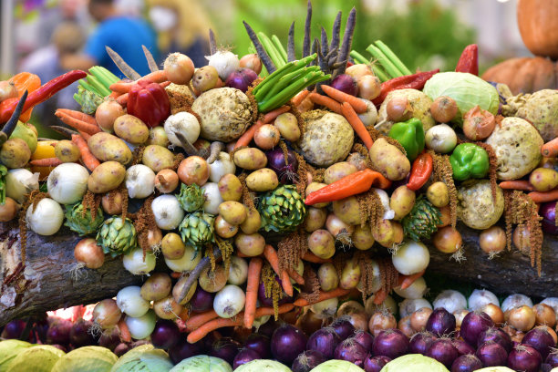 用不同种类的蔬菜装饰图片下载
