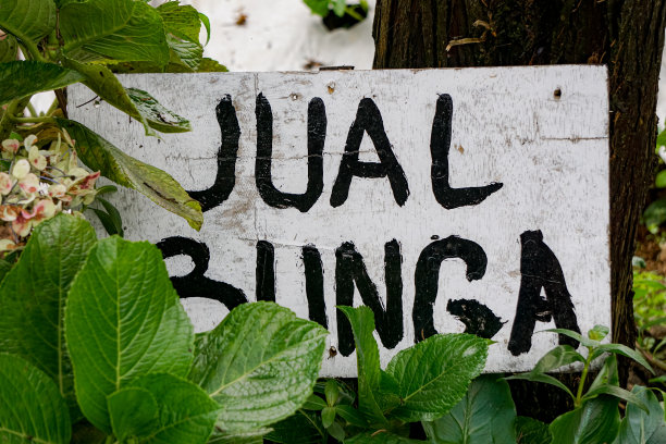 用印尼语卖花图片下载