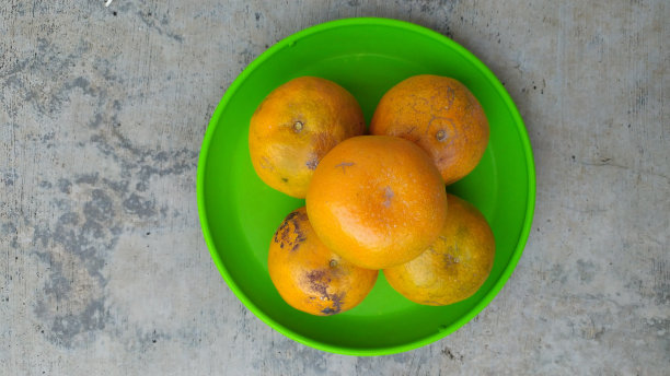 橘子水果插画摄影。图片下载