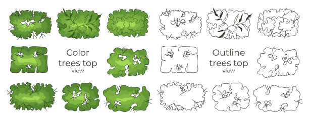 树的建筑平面图。随行人员设计。各种树木，灌木，和灌木，俯视图为景观设计方案。矢量插图。图片下载