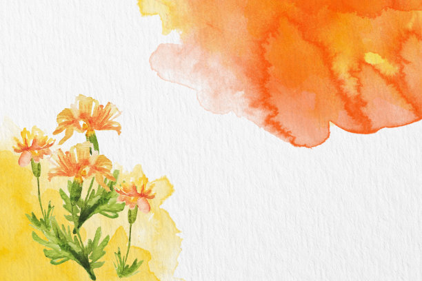 水彩纸背景纹理。花卉边界背景在绿色与叶子和花水彩插图或水彩刷花。图片下载