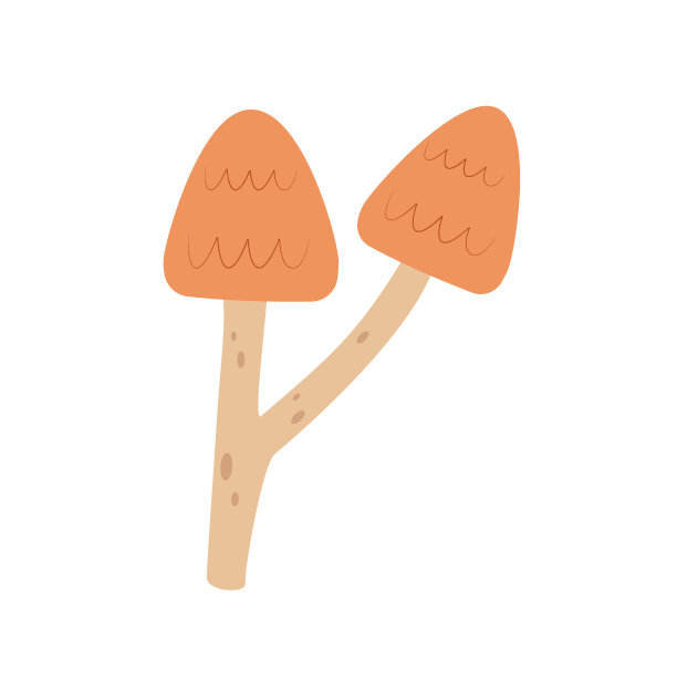 真菌蘑菇图标。孤立背景上的森林蘑菇。秋天的野生森林蘑菇。矢量插画卡通平面风格图片下载