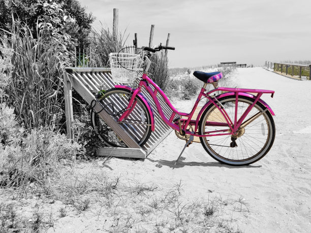黑白对比粉色自行车图片下载