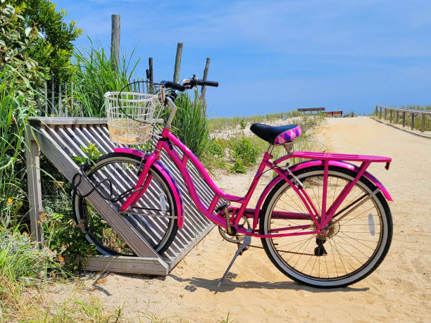 粉色自行车泽西海岸图片下载