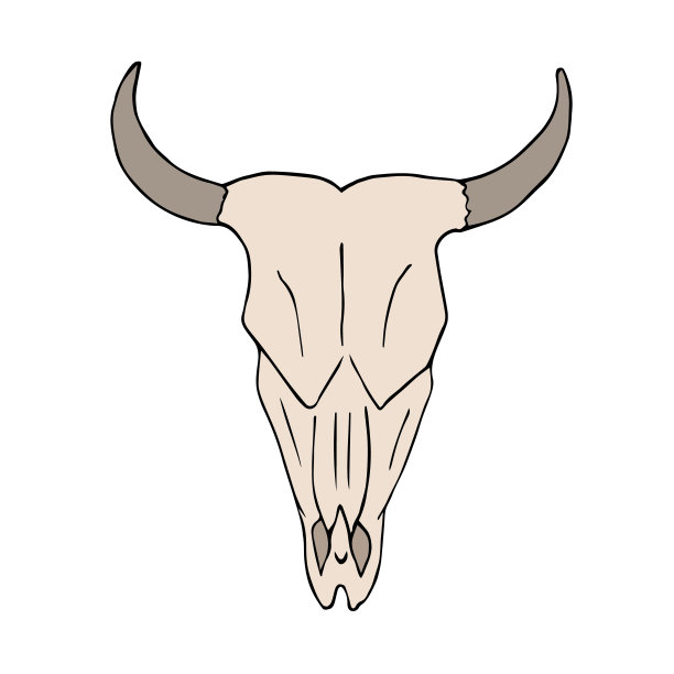 矢量手绘草图牛牛头骨图片下载