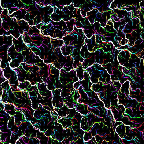 流动的色彩斑斓的粒子图片下载