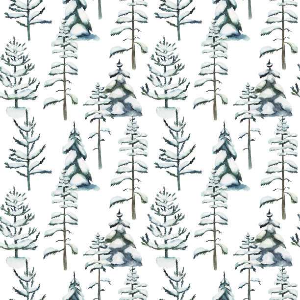 无缝图案与水彩雪景松树和云杉，手绘在白色背景图片下载