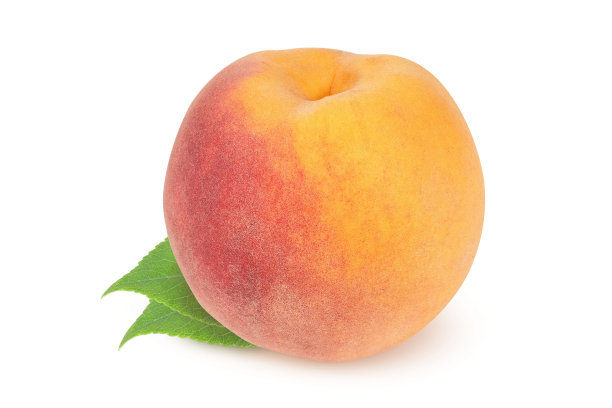 桃子在孤立的白色背景上。图片下载