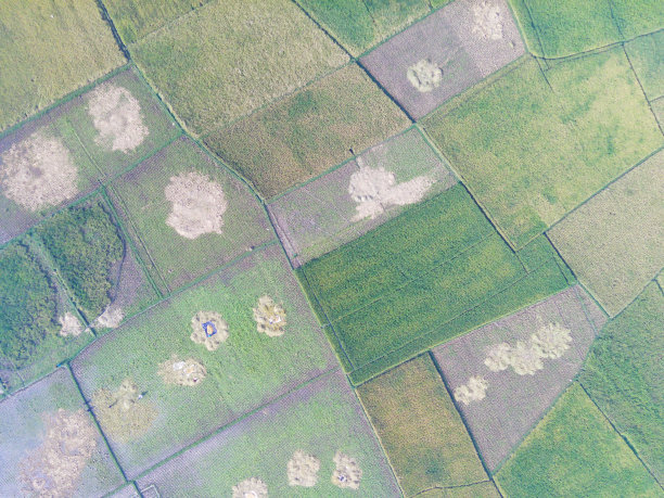 空中农田-库存照片图片下载