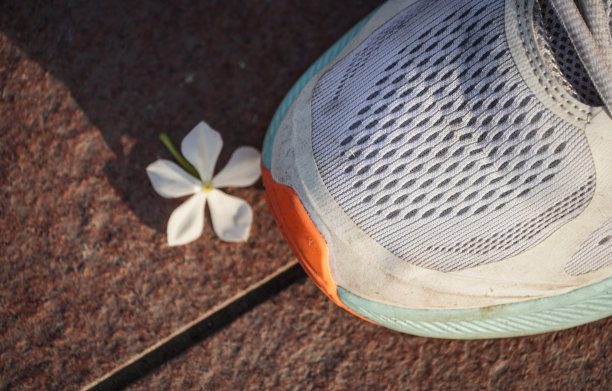 没有爱的概念鞋和花图片下载