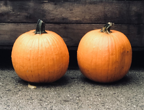 两个南瓜图片下载