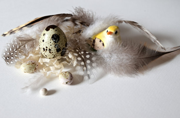 用羽毛装饰的鹌鹑蛋堆。有机食品。乡村风格。前视图。图片下载