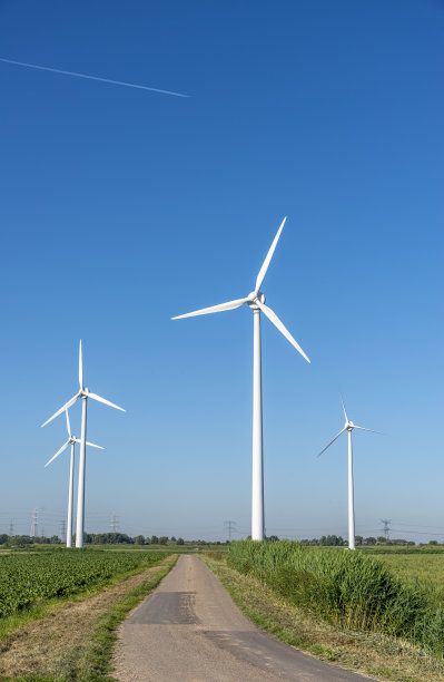 位于荷兰泽兰的风力涡轮机农场图片下载