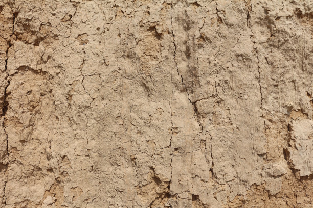 海岸上的有机纹理地面，特写。抽象的背景。粘土砂质土壤。图片下载