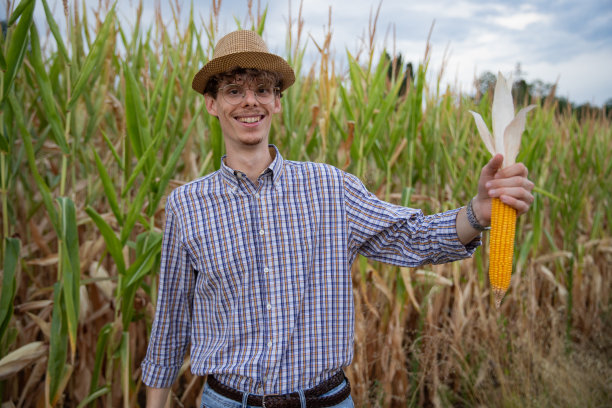 为自己的玉米产量感到自豪的农民微笑着展示着他的大玉米棒子图片下载