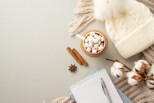 冬天的概念。顶视图照片针织头饰付费笔记本钢笔杯热饮用棉花糖在藤服务垫八角肉桂棒棉花枝上孤立的柔和灰色背景图片下载
