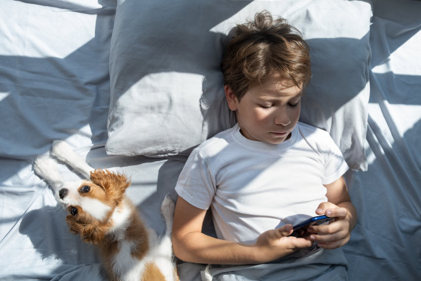 早上，男孩带着智能手机和狗躺在床上。孩子和小玩意。智能手机在男孩的手里在床上。屏幕前度过的时间。和宠物睡觉。可爱的小狗骑士王图片下载