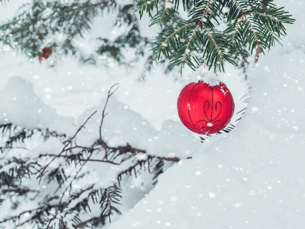 圣诞树上挂着红色的圣诞装饰球，树枝上挂着雪花。图片下载