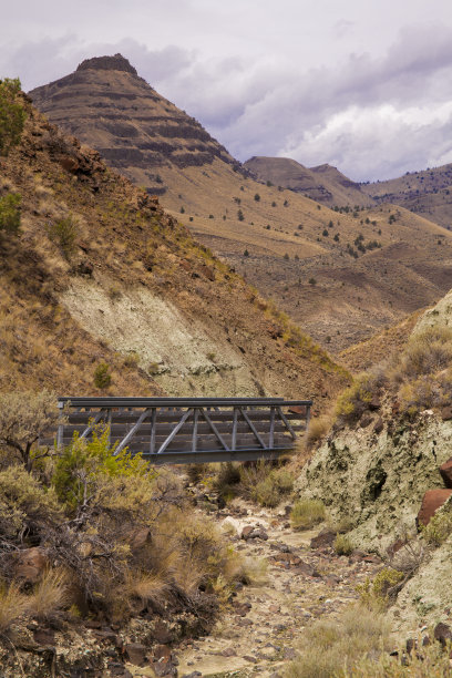 俄勒冈州约翰·戴化石床羊岩单元蓝色盆地沉积物中丰富的颜色和图案图片下载