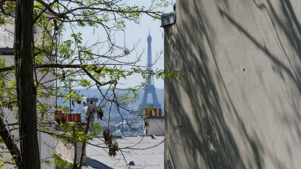 蒙马特拍摄的巴黎城市景观图片下载