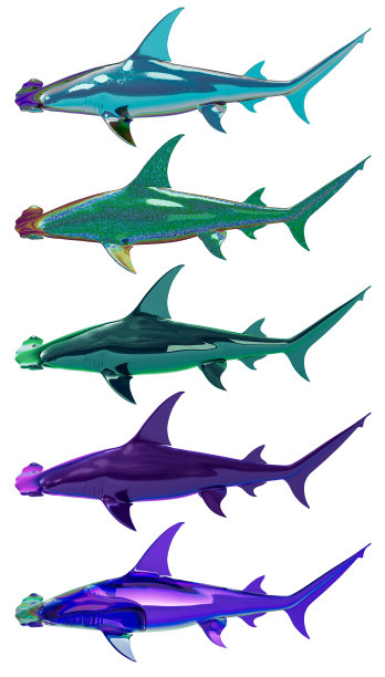 材料的鲨鱼图片下载