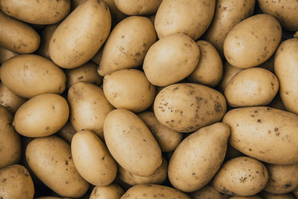 土豆。新鲜的有机土豆背景图片下载