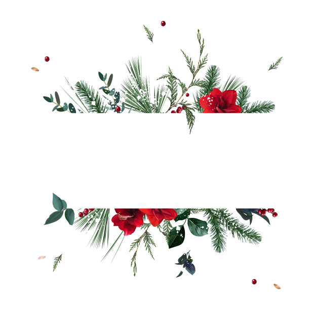 翡翠圣诞绿化，红色的孤顶花，浆果，雪松，salal，翡翠松，雪矢量设计框架图片下载
