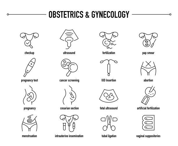 妇产科矢量图标集图片下载