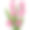郁金香花卡通彩色剪纸插画图片下载