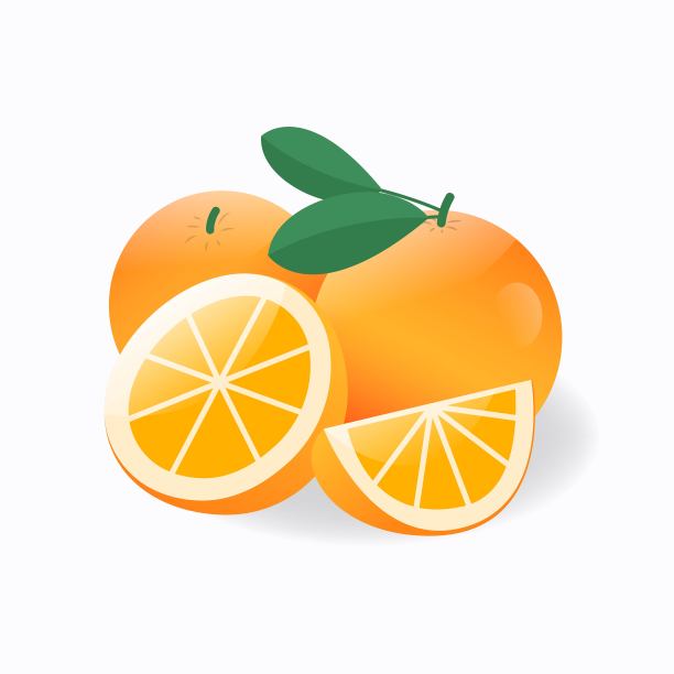 橘子水果平面设计矢量插图图片下载
