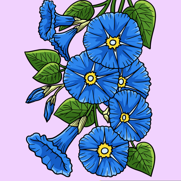 牵牛花彩色卡通插画图片下载