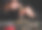 水管工在修理设备时连接黄铜配件。师傅在车间工作时的手特写图片下载