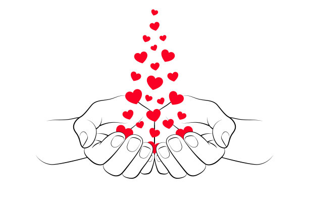 红心落在白色背景下的杯状手掌上图片下载