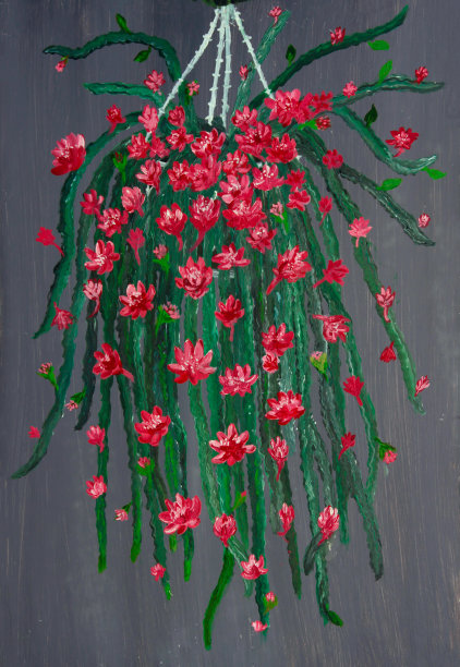 挂着红色花篮图片下载