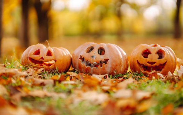 万圣节用的一套橙色南瓜。图片下载