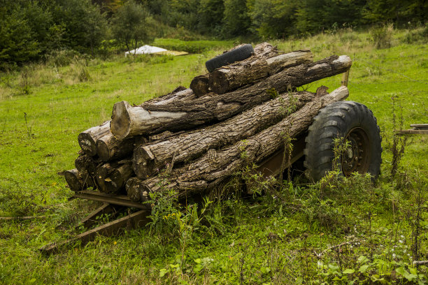 一辆旧铁车，上面有刚砍下的柴火图片下载