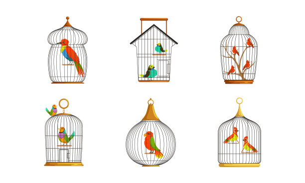 长着彩色羽毛的奇异鸟类栖息在这里图片下载