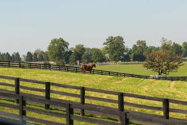马场图片下载