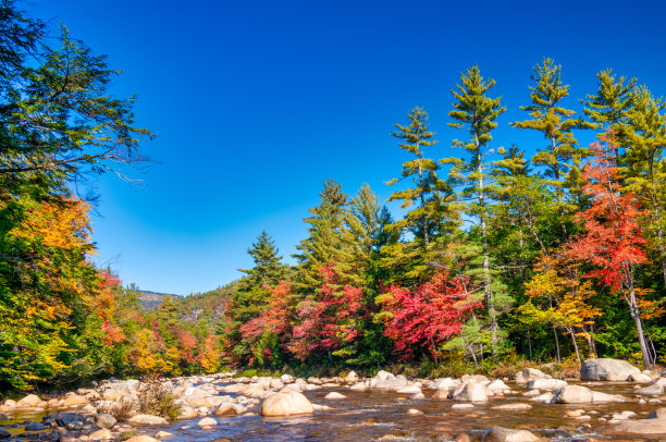 河流和水在树叶季节的倒影图片下载