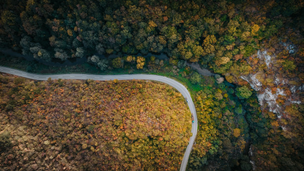 穿过森林的路图片下载