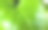 特写细节热带自然绿叶纹理背景，绿叶钙。图片下载