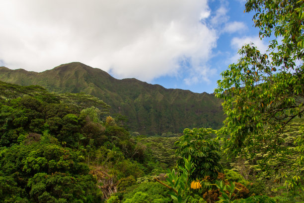 Wiliwilinui岭路图片下载