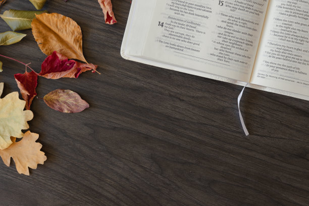 深色木头上的圣经和秋叶图片下载