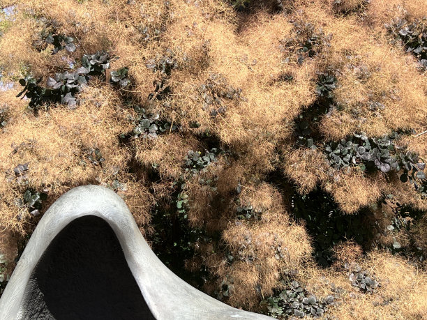 新墨西哥州圣达菲的雕塑花园图片下载