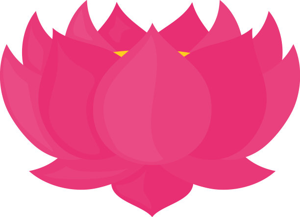 粉红色的莲花图片下载