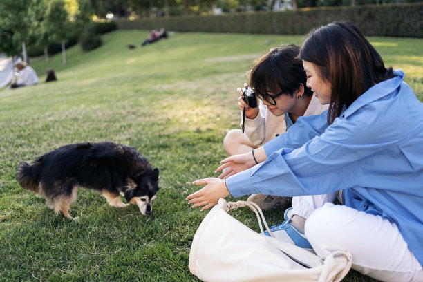 公园里的亚洲夫妇图片下载